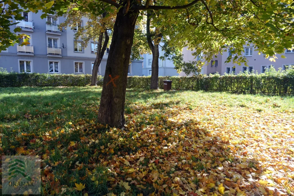 Pyskowice Wojska Polskiego Dziewiątka